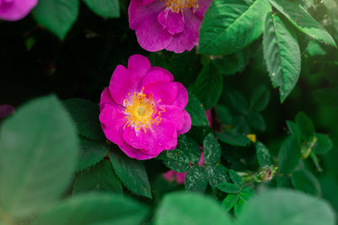 Similar image 22725465