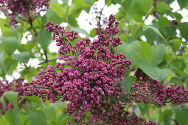 Similar image 22737858
