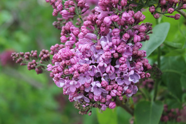 Similar image 22737861