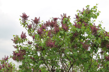 Similar image 22737863