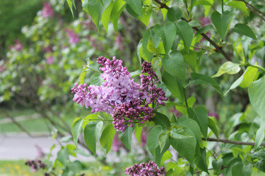 Similar image 22737864