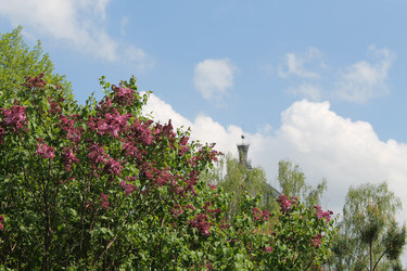 Similar image 22737889