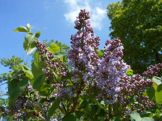 Similar image 22737891