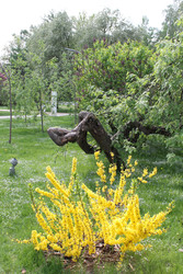 Similar image 22737814