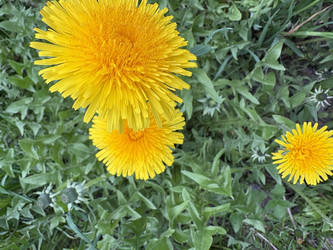 Similar image 22725394