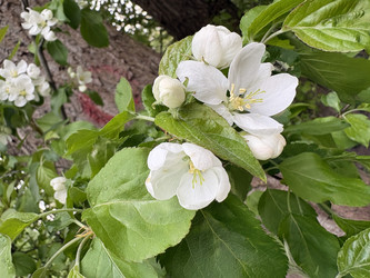 Similar image 22725399