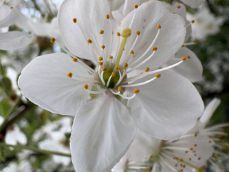 Similar image 22725409