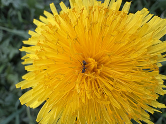 Similar image 22725413