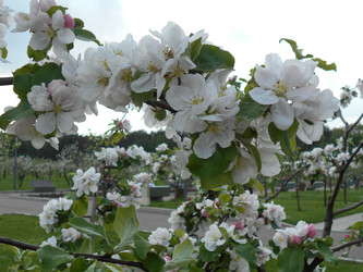 Similar image 22737816