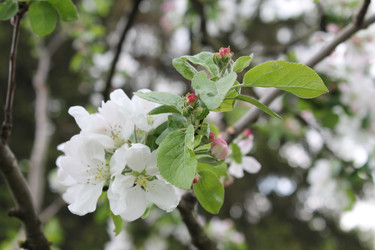 Similar image 22737829