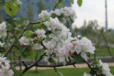 Similar image 22737834