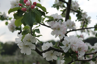 Similar image 22737835
