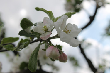 Similar image 22737847