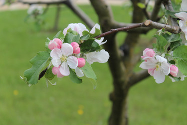 Similar image 22737849