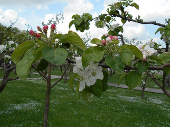 Similar image 22737850