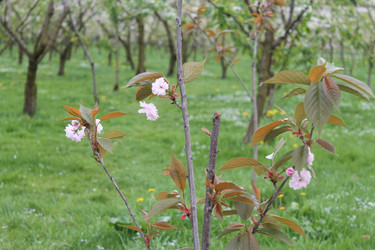 Similar image 22737851