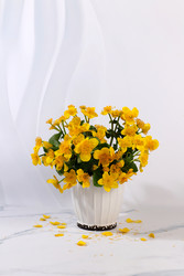 Similar image 22725208