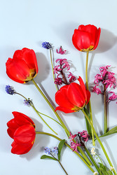 Similar image 22725253