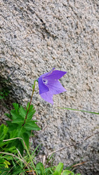 Similar image 22735278