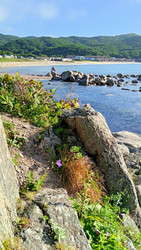 Similar image 22735279