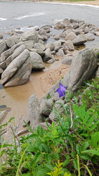 Similar image 22735283