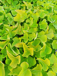 Similar image 22735287
