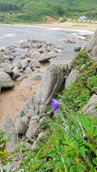Similar image 22735295