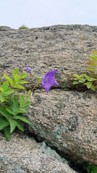 Similar image 22735317