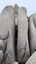 Similar image 22735318