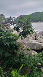 Similar image 22735328
