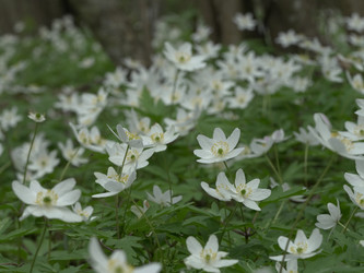 Similar image 22735344