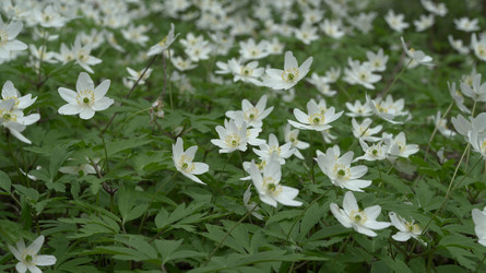 Similar image 22735347