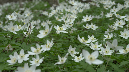 Similar image 22735363