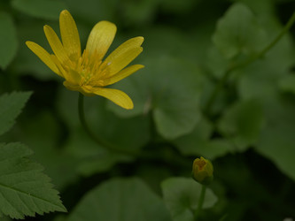 Similar image 22735364
