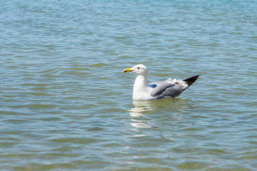 Similar image 22725451
