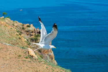 Similar image 22725512