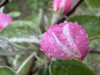 Similar image 22725423