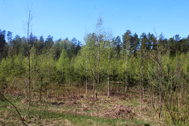 Similar image 22752384