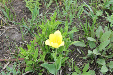 Similar image 22737918