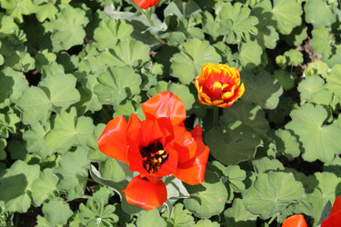 Similar image 22737920