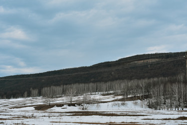 Similar image 22766086