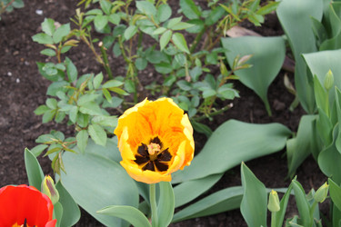 Similar image 22737867