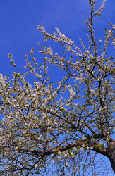 Similar image 22734732