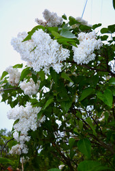 Similar image 22734733