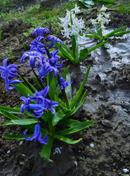 Similar image 22734735