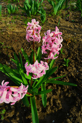 Similar image 22734736