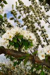 Similar image 22734739