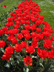 Similar image 22737894