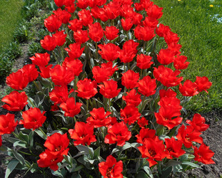 Similar image 22737898