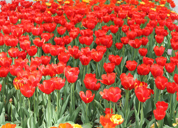 Similar image 22737911